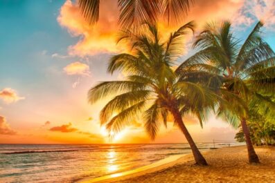 why is the caribbean a top travel option for winter